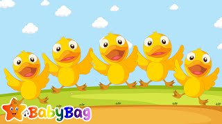 🦆 Five little ducks went swimming one day  Rhymes for babies  BabyBag Nursery Rhymes [upl. by Prudi38]