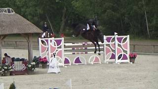 Stef Bossaerts  Mr Jones  CSI YH 7y Azelhof  Final [upl. by Acirtal251]