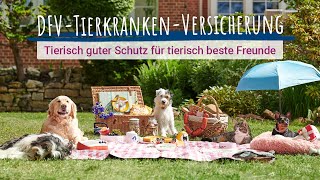 DFVTierkrankenSchutz  Tierisch guter Schutz für tierisch beste Freunde [upl. by Yecnay556]