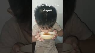 oregano tea oregano oreganorecipe shorts shortvideo tea oreganotea kalabo [upl. by Derr]