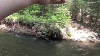 Bobs Creek Trout Fishing  Bedford PA [upl. by Hsekar]