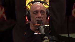 Joe Rogan On The BRAVEST Alaskan Ever😨 [upl. by Hartzell]