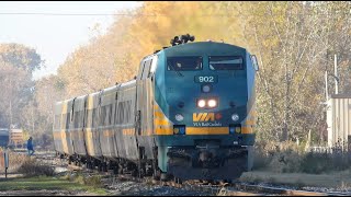 VIA Rail 72 902 ChathamKent On Oct 22 24 [upl. by Jac436]