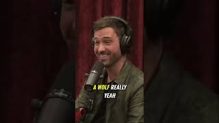 shorts joerogan podcast jre joeroganpodcast [upl. by Cadmarr125]