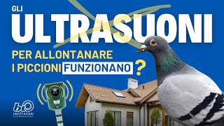 Ultrasuoni per Piccioni Funzionano [upl. by Haven599]