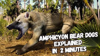 Amphicyon Real Prehistoric Hybrid Explained In 2 Minutes [upl. by Bennink]