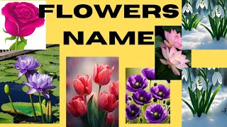 flowers name  flowers name in english flowers name in hindi flowers name 20 flowers name for kids [upl. by Pelagi]