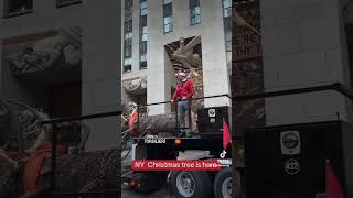 NY Christmas tree is here newyorkcity christmastree mariahcarey [upl. by Geller585]