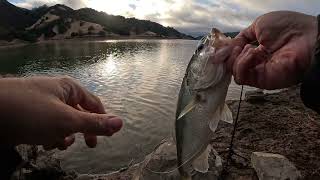 San Jose Bass Fishing  Uvas Reservoir [upl. by Dloreh]