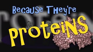 The Protein Song  Theo the Tiny Bug [upl. by Adrianne]