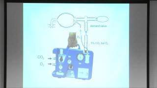 NAVAt 2014 12 Fisher Isocapnic hyperventilation 26min [upl. by Oisorbma]