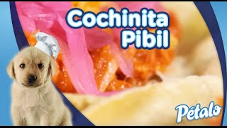 Cochinita Pibil Tu Cocina Pétalo® [upl. by Coffin881]