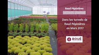 Dans les tunnels de Roué Pépinières  Mars 2017 [upl. by Einnob]