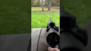 Shooting my 22 rifle at medal targets airgun safety outdoor pelletgun [upl. by Euqinotna]