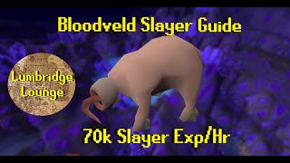 OSRS 2022 Bloodveld Slayer Guide  70k Slayer ExpHr [upl. by Aremmat521]