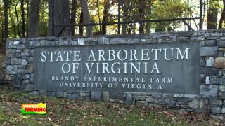 Virginia Farming Blandy Experimental Farm and State Arboretum [upl. by Betsy]