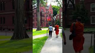 Harvard University Campus Walk Tour [upl. by Nedry381]