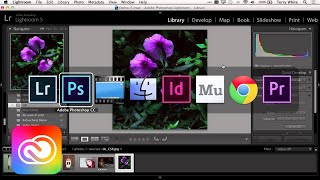 Adobe Creative Cloud for Photographers  Adobe Creative Cloud [upl. by Yajnas639]