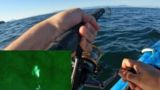 Evening Jigging Nanaimo Flounder Lingcod Greenling amp Rockfish [upl. by Fellows]