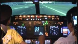 Real 737 Cockpit  Justin landing at the HK Kaitak Airport [upl. by Hirsh]