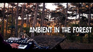 VOLCA Modular amp REFACE CP Soundscape in the Forest [upl. by Aynotel908]