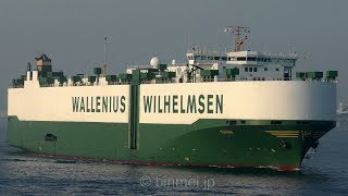 MANON  Wallenius Wilhelmsen Logistics vehicles carrier [upl. by Ralfston]