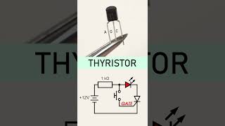 How does a thyristor work SCR  Silicon Controlled Rectfier [upl. by Ennaxor]