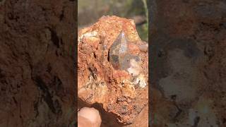 MAGNET COVE ARKANSAS SMOKY QUARTZ amp BROOKITE  Avant Mining  The Crystal Collector Public Dig [upl. by Cowey350]