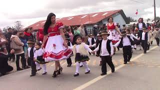 Desfile escolares nueva braunau puerto varas por la patria [upl. by Xirdnek791]