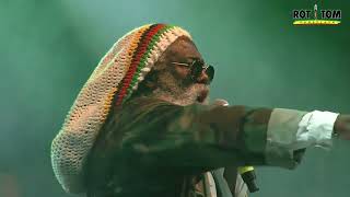 CIMARONS live  Rototom Sunsplash Lion Stage 2023 [upl. by Nhtanhoj]