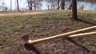 2 Alphorn Players at the Chatzensee in Switzerland [upl. by Nosidda]