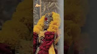 maa baglamukhi Aarti nalkheda [upl. by Tsirc]