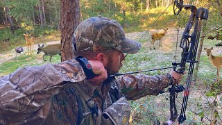 Opening Weekend of Georgia Deer Season 2023 Multiple Deer Down [upl. by Beaner]