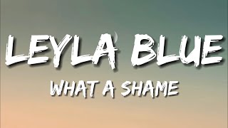 Leyla Blue  What A Shame Lyrics [upl. by Nosa]