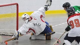 Crazy Ball Hockey GoalsSavesScrums [upl. by Lait]