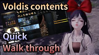 Lost Ark All Voldis contents quick walk through [upl. by Naehs]