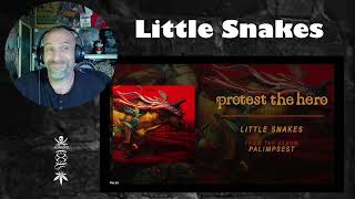 Protest The Hero  Little Snakes  Reaction amp Rant with Rollen Official Audio [upl. by Aizek]