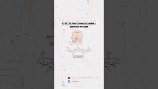 Chemistry Investigatory Project on To Study the Digestion of Starch by Salivary Amylase [upl. by Euqinotna]