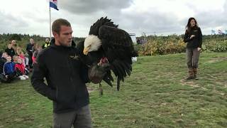 Educatieve Roofvogeldemonstratie [upl. by Grimbal710]