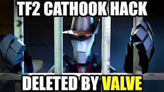 TF2 VALVE DELETED CATHOOK HACK [upl. by Ellebanna]