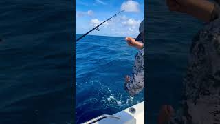 Jig Fishing Albacore In Aruba [upl. by Hyrup747]