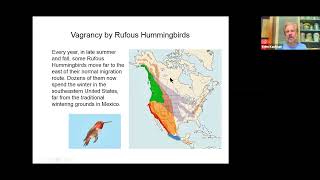 Patterns of Bird Migration in North America SEP 2020 [upl. by Nitaf]