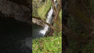 Cascata delle ninfe  Sila piccola  river calabria mountains [upl. by Santa254]