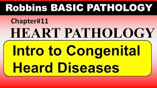 Chp11 Robbins Patho  Heart Pathology  Introduction to Congenital Heart Diseases [upl. by Crosse]