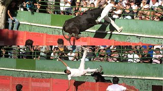 AIGUESVIVES04072024Course CamarguaiseAvenir [upl. by Neffirg371]