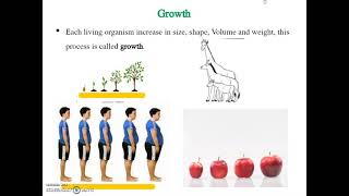 Growth and sigmoid curve [upl. by Jeddy]