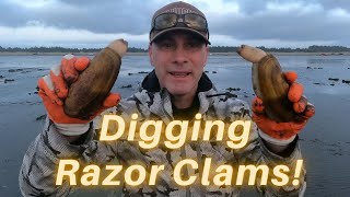 Washington Coast Razor Clams [upl. by Ariaet]