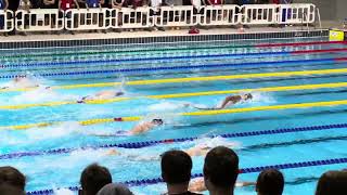 Popovici Stjepanovic  200 Free AFinal  Euro Meet 2024 [upl. by Armil]