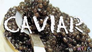 What Is and How to Eat Caviar Caviar 101 [upl. by Len]