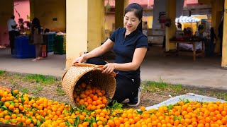 Harvesting Kumquat amp Goes To Market Sell  Gardening And Cooking  Lý Tiểu Vân [upl. by Rosene307]